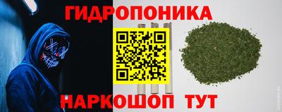 шишки Краснодар